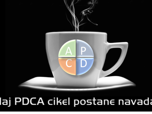 CIKEL PDCA ALI DEMINGOV KROG V PRAKSI