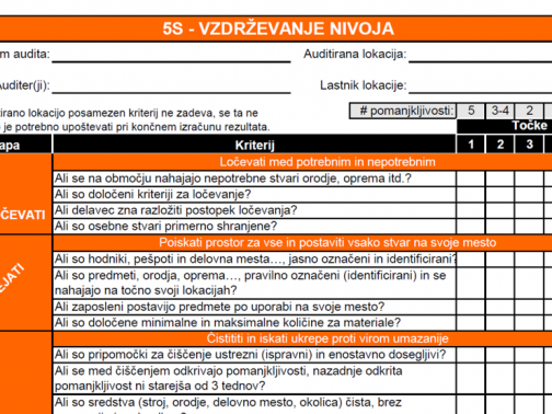 Različni pristopi v izvajanju 5S